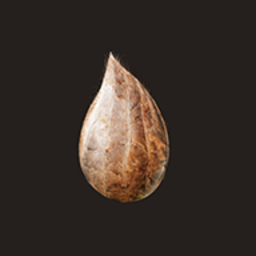 澳门金沙app1991手机版中文版下载-轮回澳门金沙app1991手机版下载 v0.55 安卓版